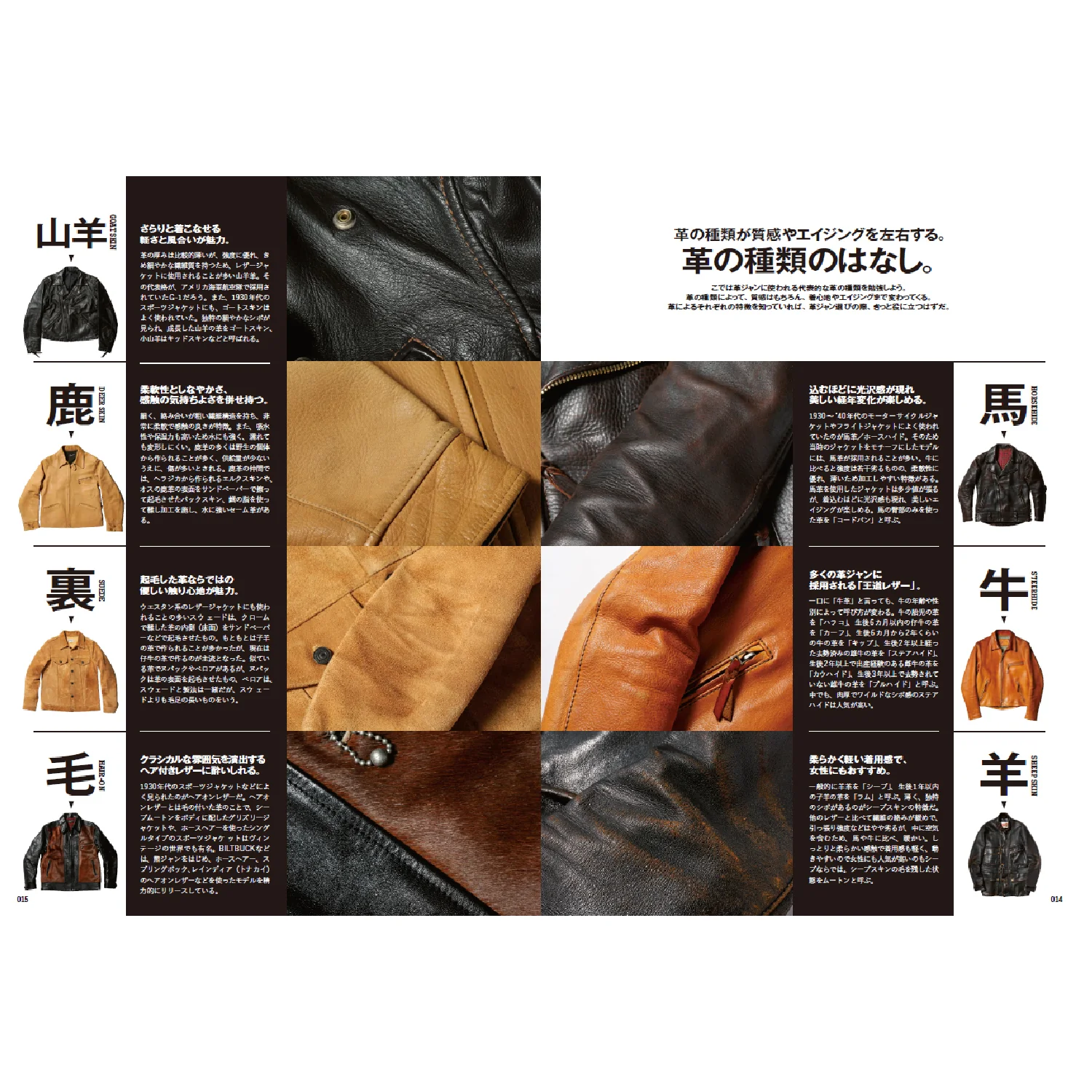 Lightning Leather Jacket Buyer's Catalog - Image 5