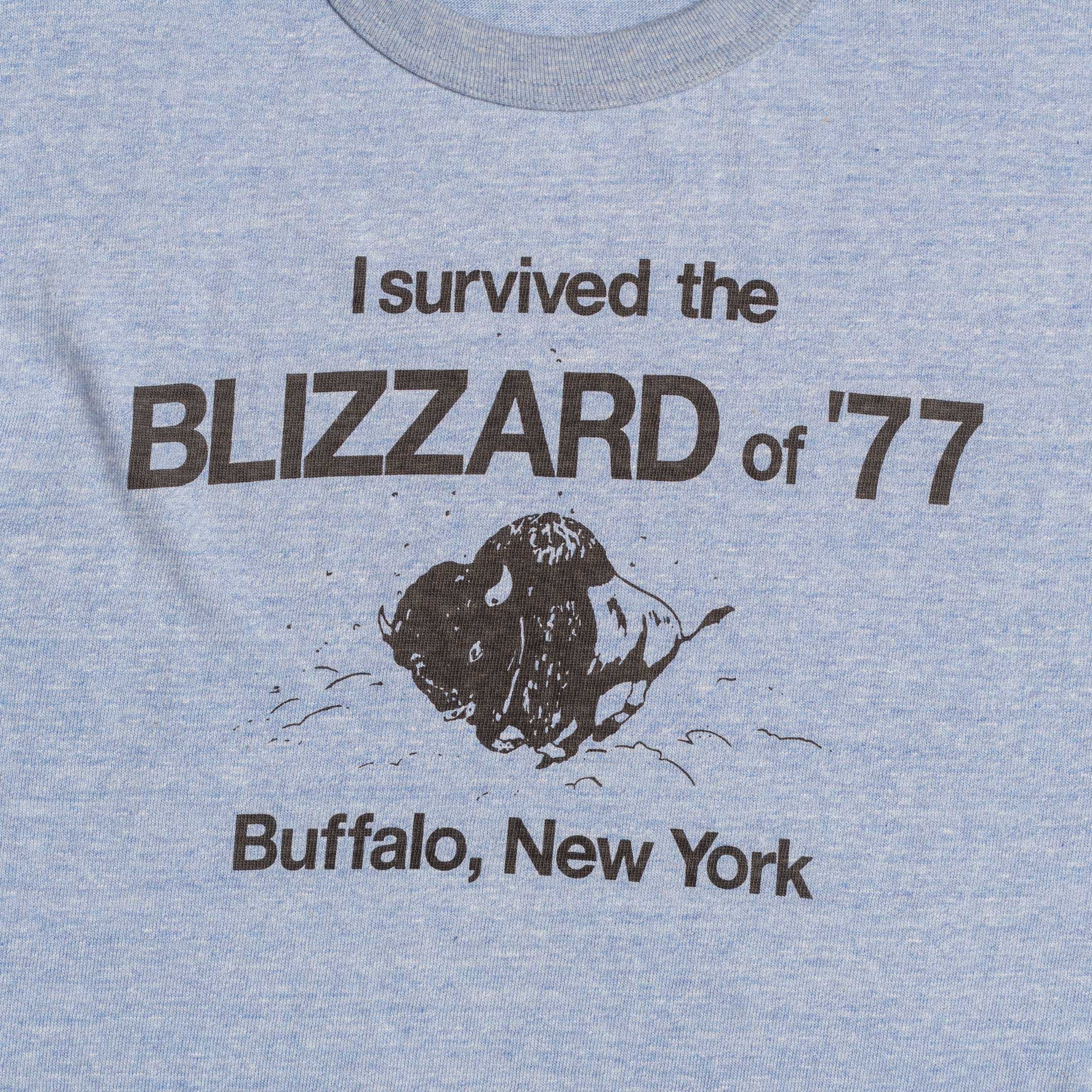 Warehouse & Co Lot. 4096 Blizzard T-Shirt Blue - Image 4