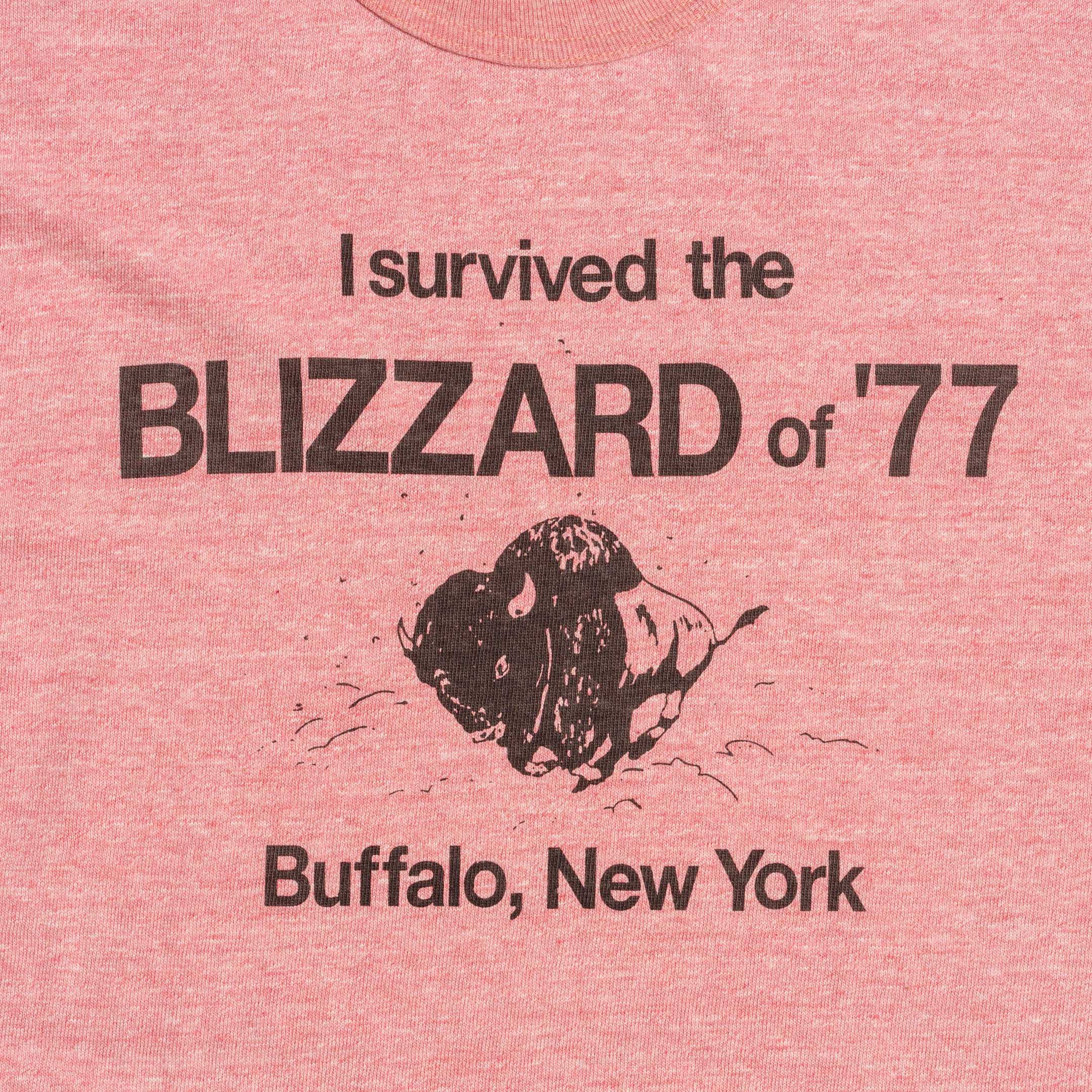 Warehouse & Co Lot. 4096 Blizzard T-Shirt Red - Image 4